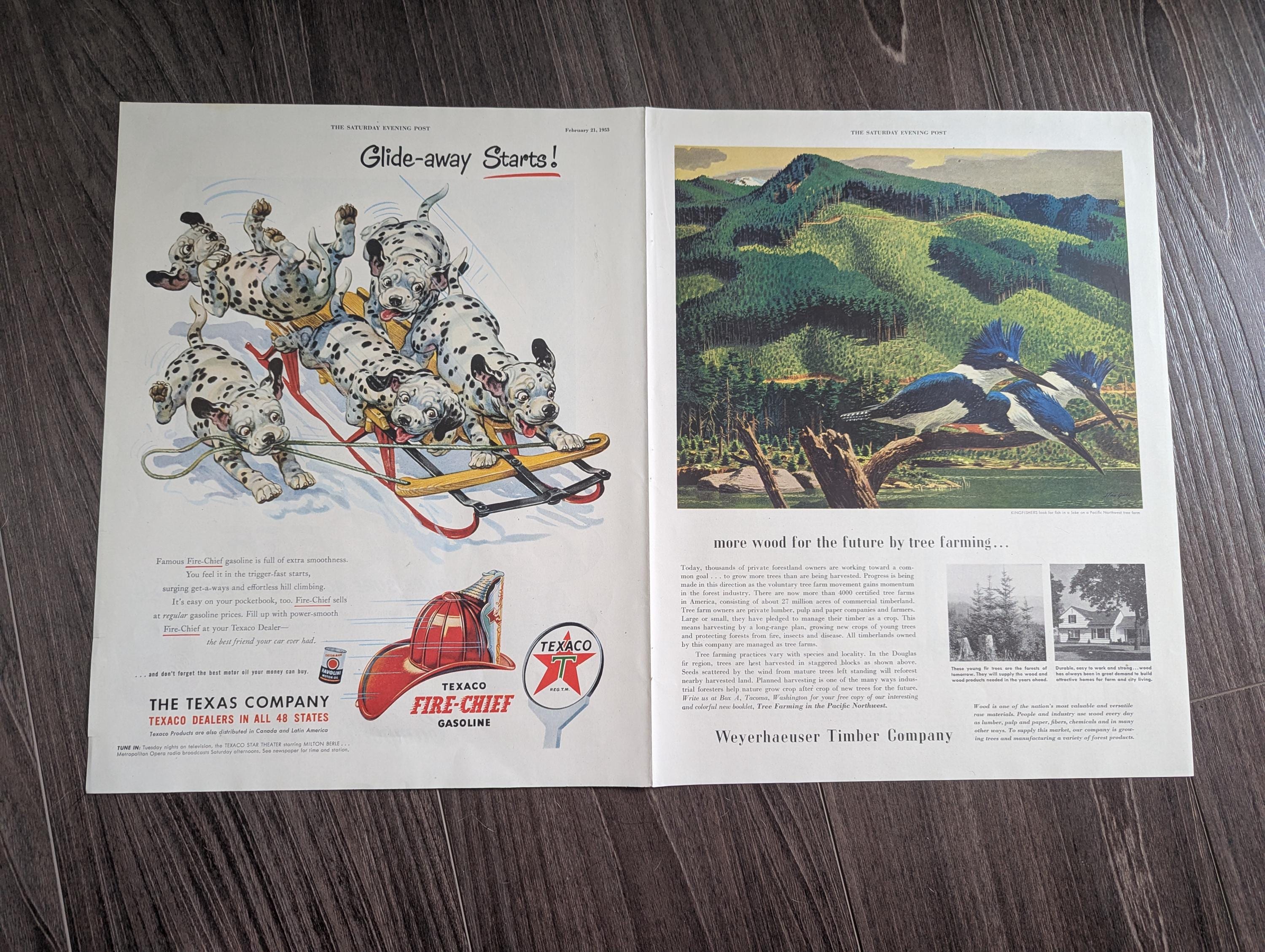 Texaco Dalmatians - Etsy
