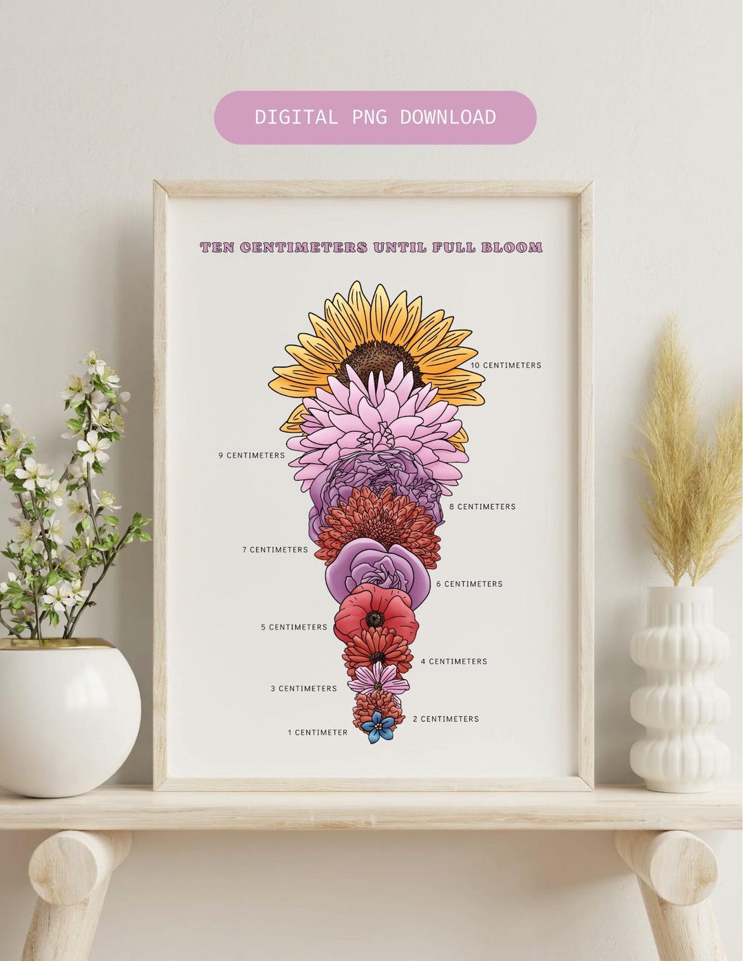 Floral Cervical Dilation Chart: Birth Worker PNG (digital Download ...