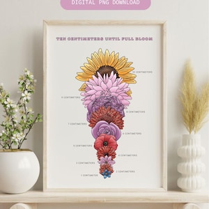 Grafico di dilatazione cervicale floreale, PNG per operatori sanitari, download digitale per sublimazione, pacchetto professionale per la nascita Doula, ostetriche, infermiere parto e parto
