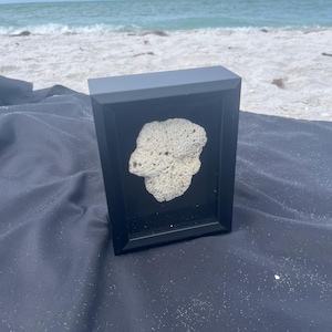 Coral Shadowbox