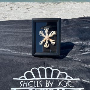 Starburst Shadow box