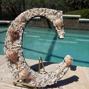 Puede incluir: Una letra "C" decorativa cubierta de pequeñas conchas y fragmentos de conchas, con conchas más grandes adjuntas. La letra se muestra sobre un soporte dorado, sobre un fondo de piscina y exuberante vegetación.