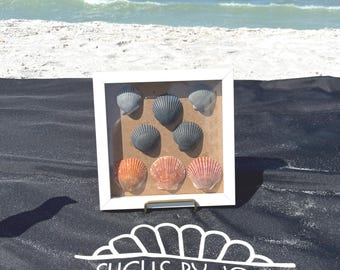 White Shadowbox with Florida Shells