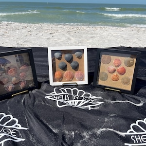 May include: Three black framed shadow boxes with a white background, each containing a collection of seashells. The top box contains a collection of grey and white seashells. The middle box contains a collection of orange and pink seashells. The bottom box contains a collection of orange, pink, and white seashells. The boxes are sitting on a black fabric surface with the words "Shells by Joe" printed on it.