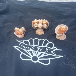 May include: Three small shell bowls filled with seashells on a black fabric background. The fabric has the text "SHELLS BY JOE" printed on it in white.