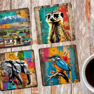 South African Coaster Clipart Bundle: African Wildlife Designs (Digital Download)