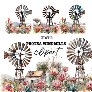 Protea windmolen clipartbundel | 10 rustieke bloemen-png's | Zuid-Afrikaanse aquarelbloemen en windpomp