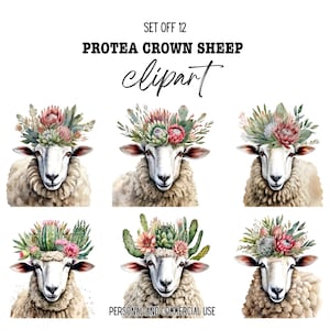 South African Sheep PNG Clipart Bundle – Protea Flower Crown Animal PNGs