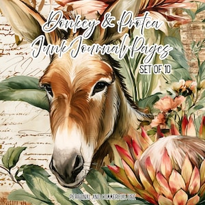 Puede incluir: Un conjunto de 10 páginas de diario basura con una ilustración de un burro marrón rodeado de flores de protea rosas y follaje verde. El fondo incluye texto manuscrito antiguo. La imagen contiene el texto Donkey & Protea Junk Journal Pages SET OF 10.