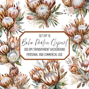 Boho Protea PNG Bundle: Watercolor Clipart (Digital Download)