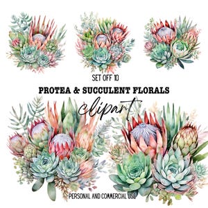 Protea Watercolor Clipart Set: South African Floral PNG (Digital Download