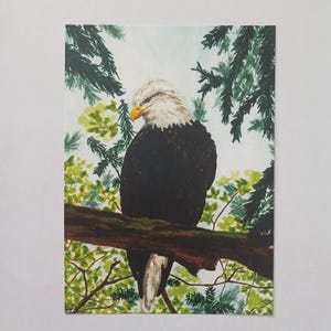 Watercolor print