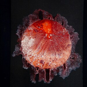 Nebulo - 10x15