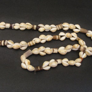 Vintage Long Cowrie Shell Necklace