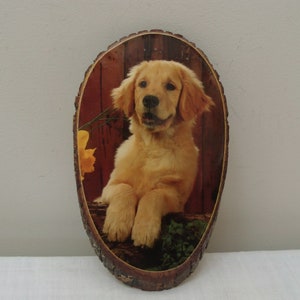 Vintage Wood Adirondack Plaque with Golden Retriever Picture - Dog Photo