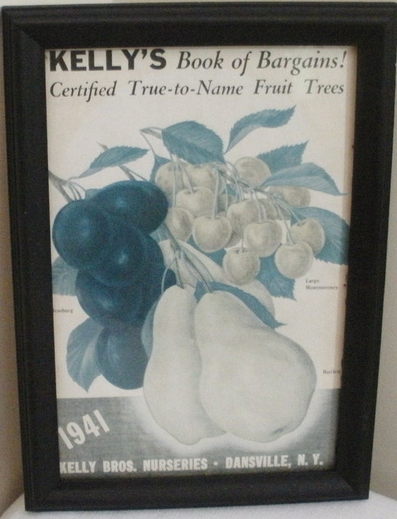 Kelly Nursery Catalog Catalog Library