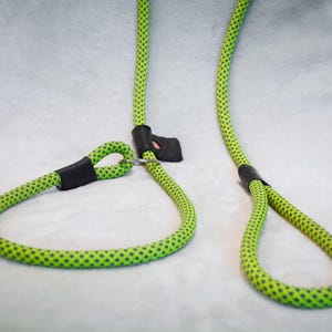 Umfunktionierte Kletterseil Hundeleine, Schlupfhalsband für Hunde, 1,8 m