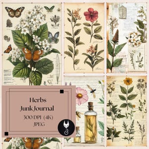 Könnte beinhalten: Eine Collage aus sechs botanischen Vintage-Illustrationen mit verschiedenen Kräutern, Blumen und Schmetterlingen. Die Bilder sind in Grün-, Braun- und Weißtönen gehalten, mit einem hellbeigen Hintergrund. Der Text "Herbs Junk Journal 300 DPI (4K) JPEG" befindet sich in einem braunen Kasten am unteren Rand der Collage.