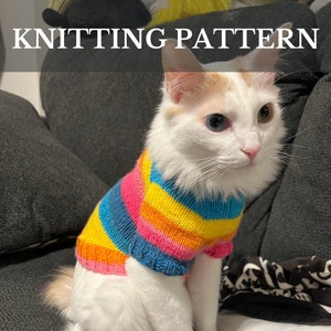 Può includere: Un gatto bianco con occhi blu e verdi che indossa un maglione a righe arcobaleno di lana. Il gatto è seduto su un divano grigio.