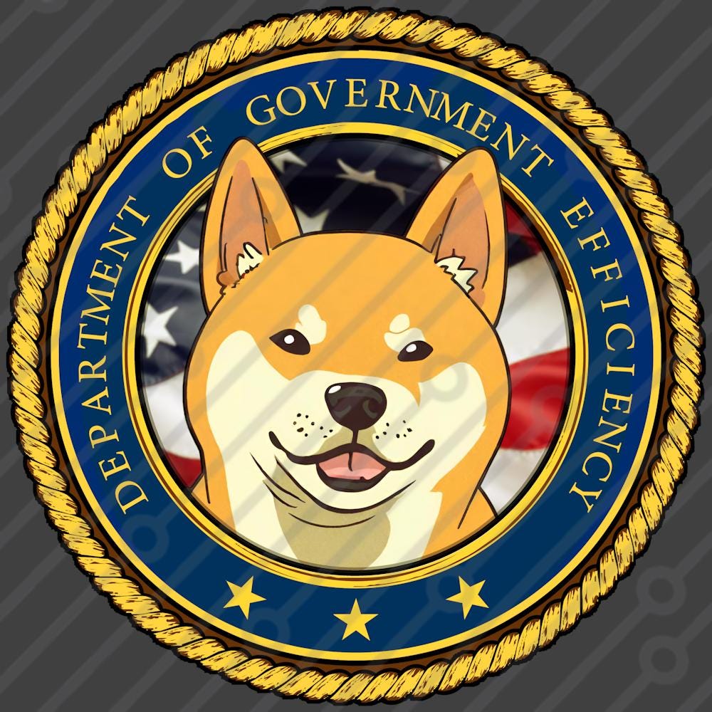 Department of Government Efficiency DOGE US Badge Logo - Etsy Australia