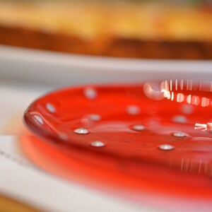 Tin 5 Glass Plates Red main image 1