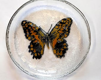 Butterfly , Clear handpainted glass dish