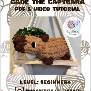 Cade the Capybara Finger Knit Video/PDF Tutorial, Beginner+ Level