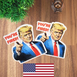SEI LICENZIATO! Adesivo Trump – Meme politico divertente – Adesivo in vinile impermeabile – Acquista 2 e ricevi 2 gratis!