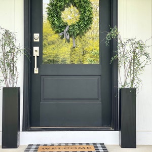 May include: A black front door with a wreath of green leaves and a black and white ribbon. Two black planters with green leafy plants stand on either side of the door.