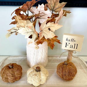 May include: A fall-themed decorative arrangement featuring a vase wrapped in a cream-colored sweater, filled with autumn leaves. Three decorative pumpkins and a wooden sign that says "hello Fall" complete the display. The pumpkins are made of natural fibers.