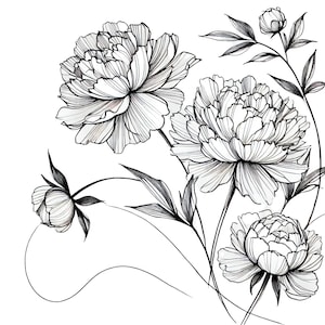 May include: Black and white line art illustration of peonies. The image features several fully bloomed flowers, buds, and leaves with detailed line work. The flowers have multiple layers of petals, and the stems and leaves are thin and delicate.