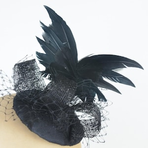 May include: A black feather and net hair accessory. The feather is arranged in a fan shape and the net is gathered around the base of the feather.