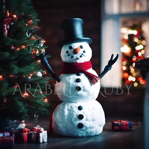 Darky The Snowman