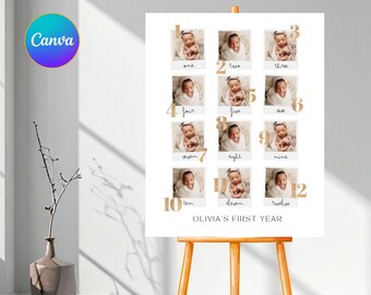 Editable First Birthday Milestone Sign Template, First Birthday Stats Sign, First Year Milestone Sign, RAMI0003