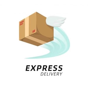 Könnte beinhalten: Eine Cartoon-Illustration eines braunen Kartons mit einem weißen Flügel, der eine schnelle Lieferung symbolisiert. Der Karton hat rotes Klebeband und eine blaue Spur. Der Text "EXPRESS DELIVERY" steht in fetter, schwarzer Schrift darunter.