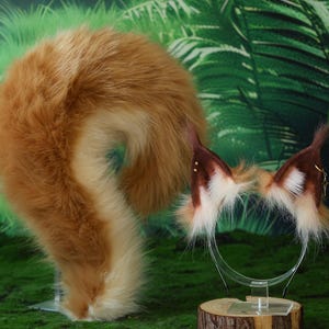 May include: A cosplay set featuring a fluffy, curled fox tail and matching ears on a headband. The tail is a mix of orange and cream-colored faux fur. The ears are brown with white accents and small gold-colored studs. The set is displayed on a green, mossy surface.
