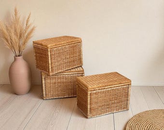 Wicker Toy Chest with Lid, Rectangular Rattan Storage Basket for Kids Toys, Clothes, Woven Organizer for Nursery, Storage Box for Children