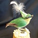 Sweet Vintage Millinery Bird with a Handmade Party Hat!
