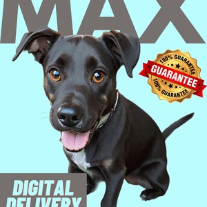 Custom High-Quality Pet Portrait, Detailed Expressive Illustrated Pet Digital Art, Personalized Dog and Cat Disney Cartoon, Unique Pet Gift