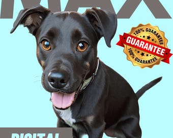 Individuelles hochwertiges Haustierporträt, detaillierte, ausdrucksstarke illustrierte Haustier-Digitalkunst, personalisierter Hund und Katze Disney-Karikatur, einzigartiges Haustiergeschenk