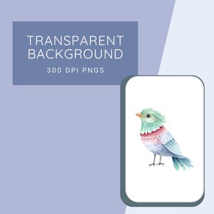 Transparent background. 300 DPI PNGs.