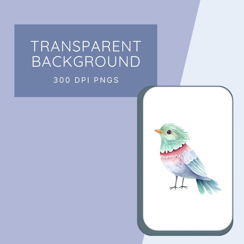 Transparent background. 300 DPI PNGs.