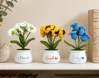 Handgjord virkad växt, virkad blomkruka med eget namn, virkad blomma, present till uppskattning av lärare, tackpresent till lärare, present till lärare