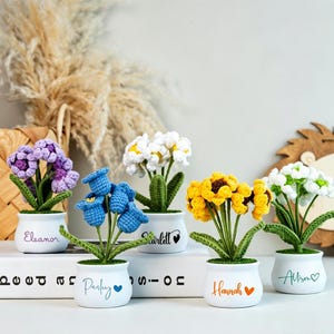 Fiore all'uncinetto personalizzato in vaso, vaso di fiori all'uncinetto con nome personalizzato, regalo di ringraziamento per insegnanti/amici, regalo floreale all'uncinetto fatto a mano