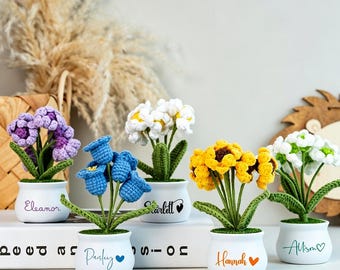 Fiore all'uncinetto personalizzato in vaso, vaso di fiori all'uncinetto con nome personalizzato, regalo di ringraziamento per insegnanti/amici, regalo floreale all'uncinetto fatto a mano