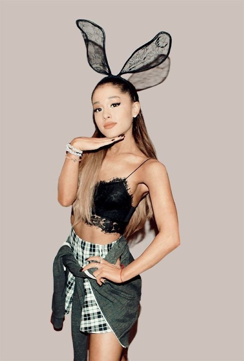 Ariana Grande Anal Fucking - Sexy Easter Bunny - Etsy Ireland