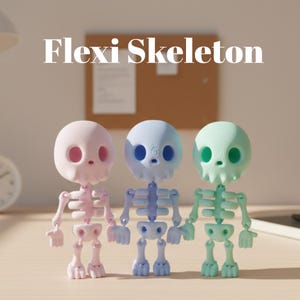 May include: Three colorful, articulated skeleton figures in pink, blue, and green, with the text "Flexi Skeleton" above them. The figures are standing on a wooden surface.