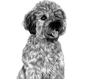 Printable Wheaten Terrier Dog Art Graphite Pencil Sketch Drawing Pet Portrait Digital Download