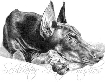 Custom Pet Portrait Pencil Drawing Sketch Done by Hand Drawn from Your Image/Photos Animal Lover Gift