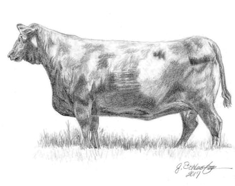 Custom Hand Drawn Lifelike Cow/Horse/Donkey/Farm Animal Commission Art Pencil Sketch Drawing from Photo